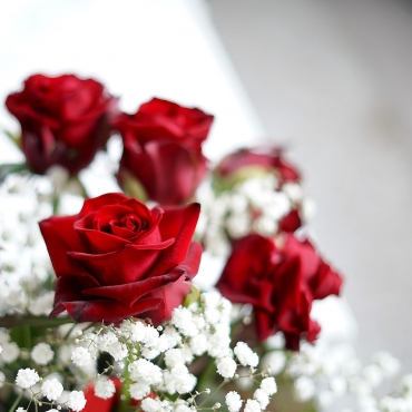 Looking at a Prospective Bride