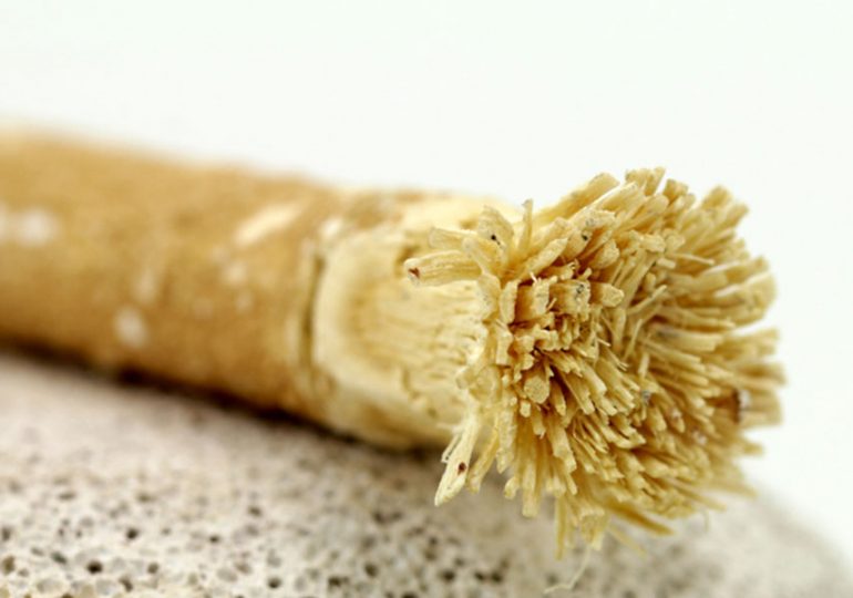 Miswak before or during ablution