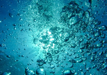 Rainwater Treatment Hadith