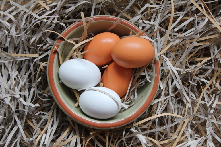 Red blood spots in eggs
