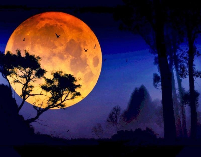 Allah’s ‘Signature’ in the Moon