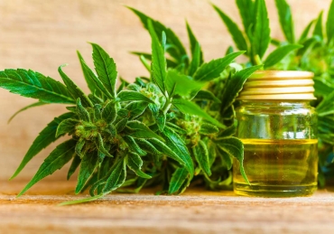 Selling CBD Oil