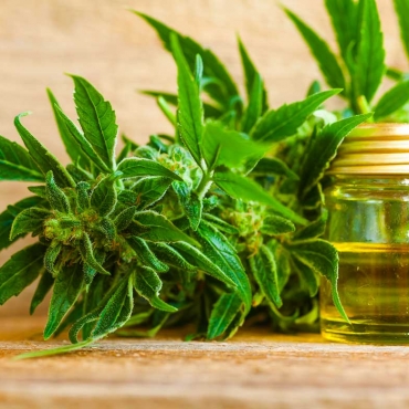 Selling CBD Oil