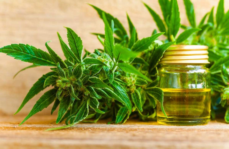 Selling CBD Oil
