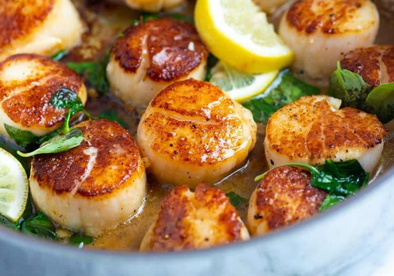 Is Scallop Halal?