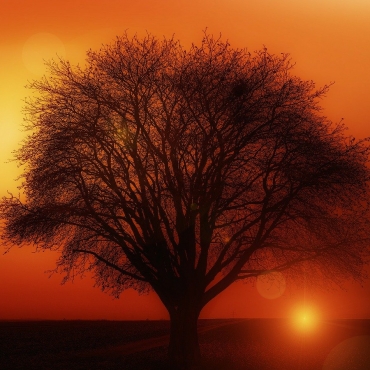 Meaning of a hadith on signs of final hour