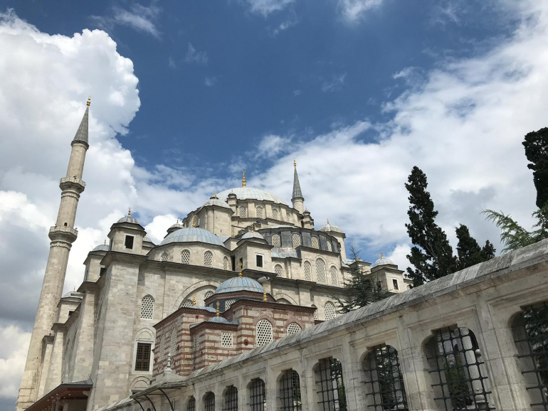 Was Shaykh Mahmud Effendi the Mujaddid of this century?